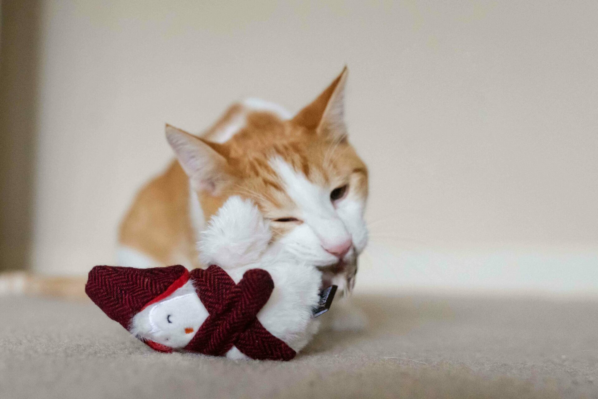 Feline Frenzy Holiday Chirpy Birdie Cat Toy - Image 3