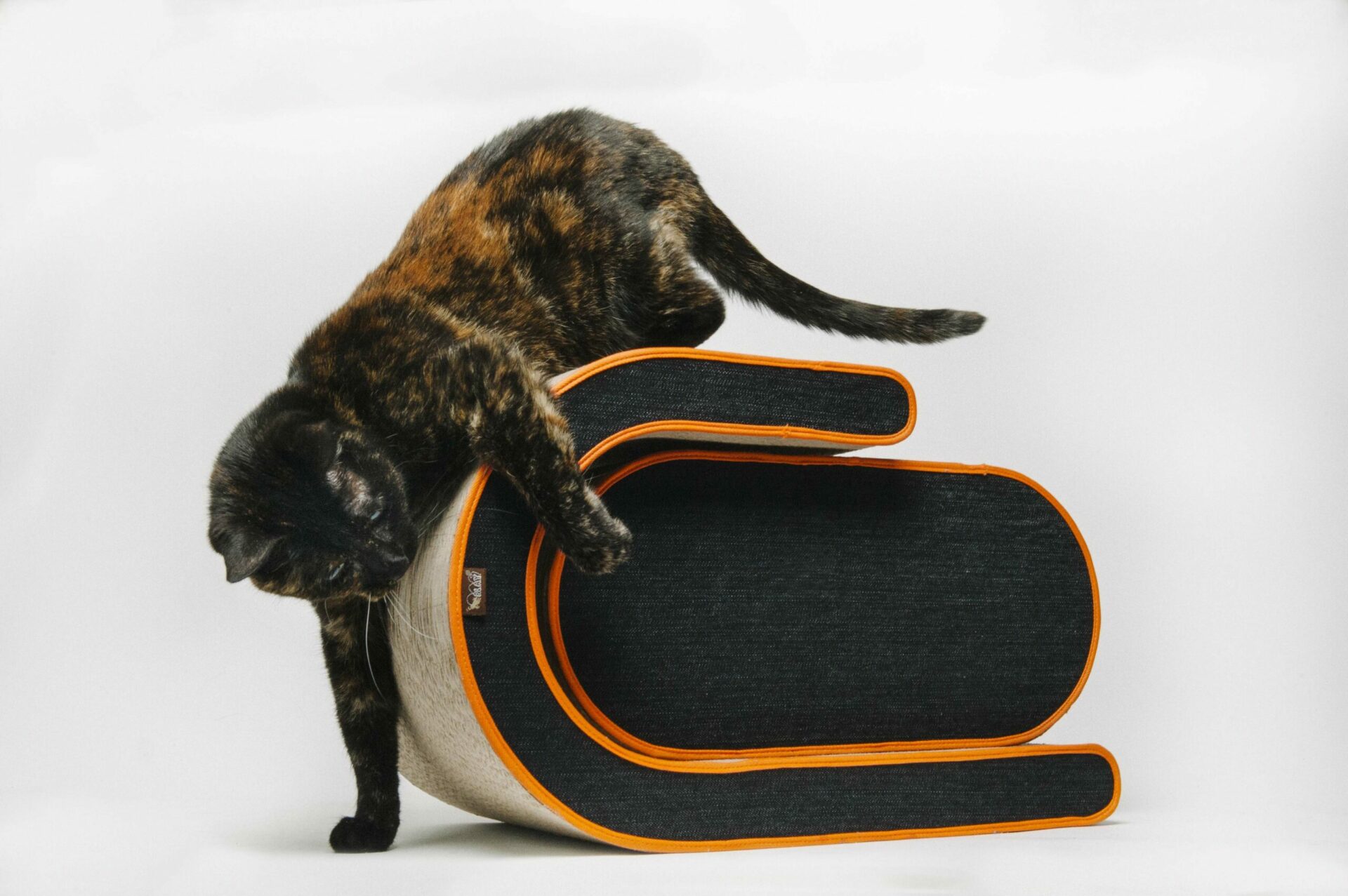 Mandarin Arty Scratcher - Image 6
