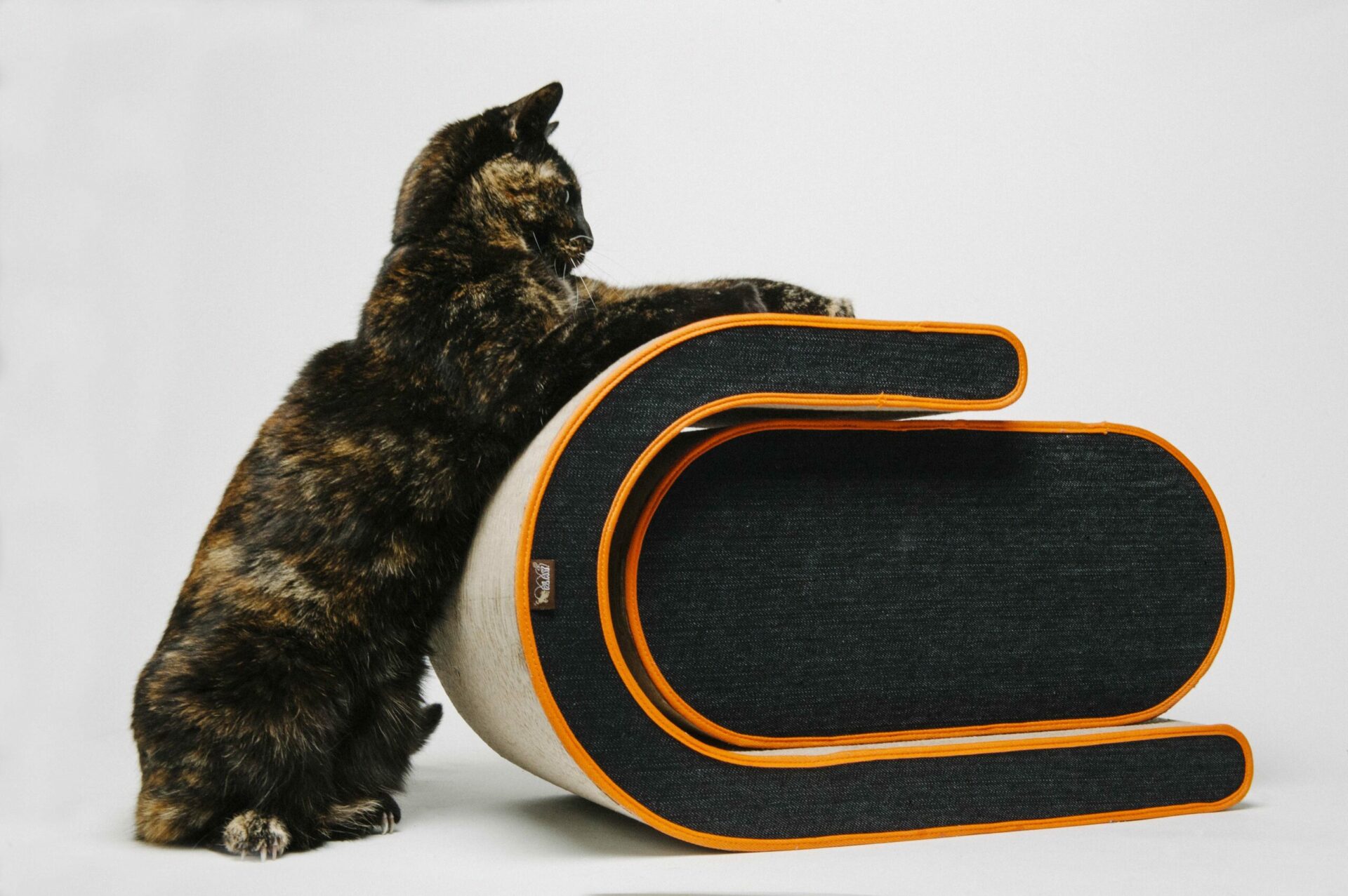 Mandarin Arty Scratcher - Image 3