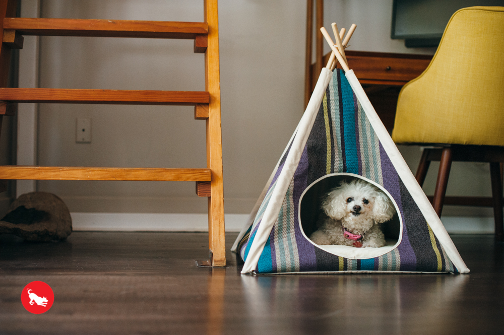 Lake Horizon Pet Teepee - Image 5