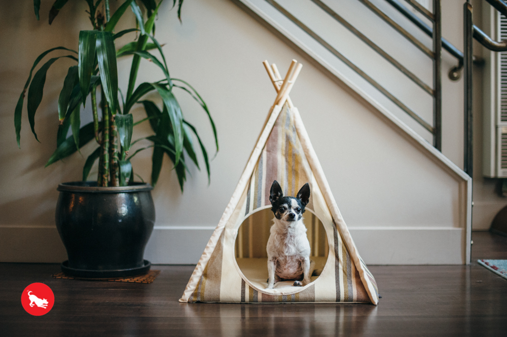 Seacoast Horizon Pet Teepee - Image 3