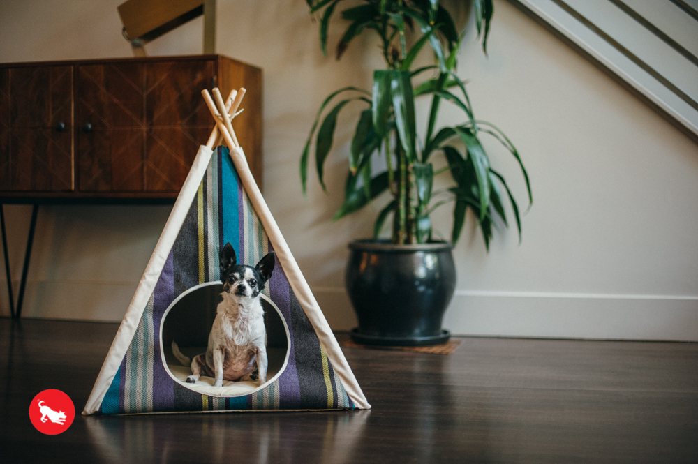 Lake Horizon Pet Teepee - Image 6