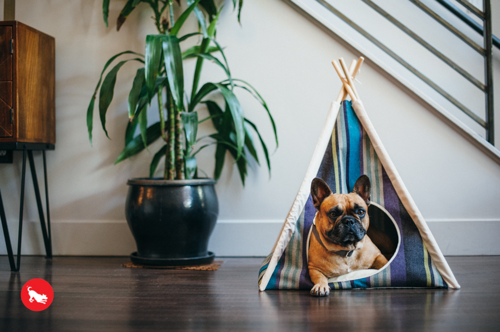 Lake Horizon Pet Teepee - Image 3