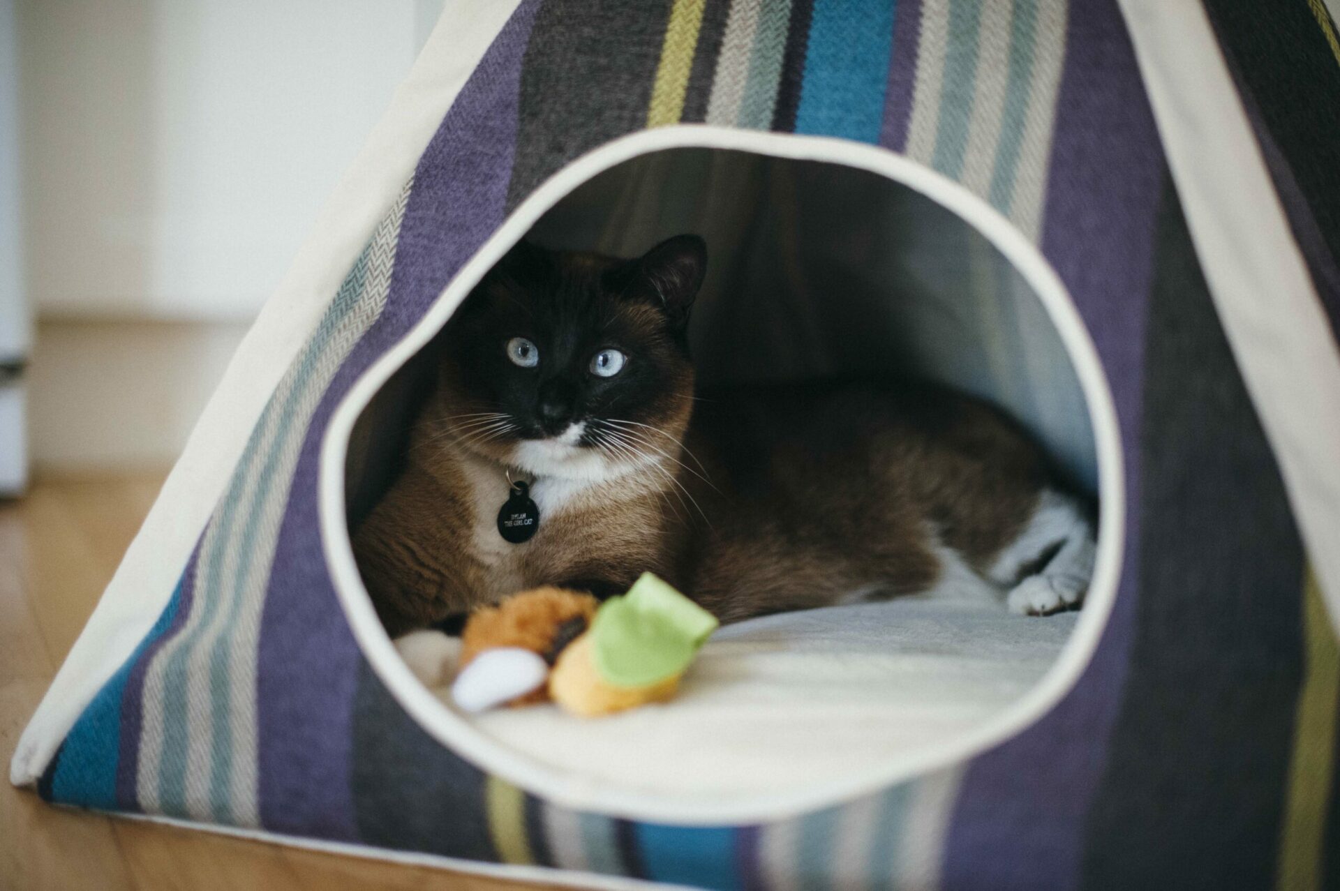 Lake Horizon Pet Teepee - Image 4
