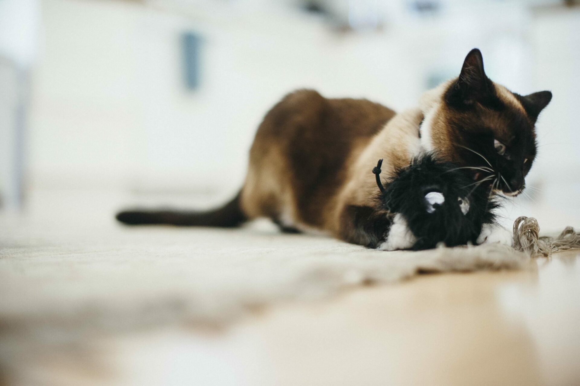 Feline Frenzy Critter Frisky Furball Cat Toy - Image 3