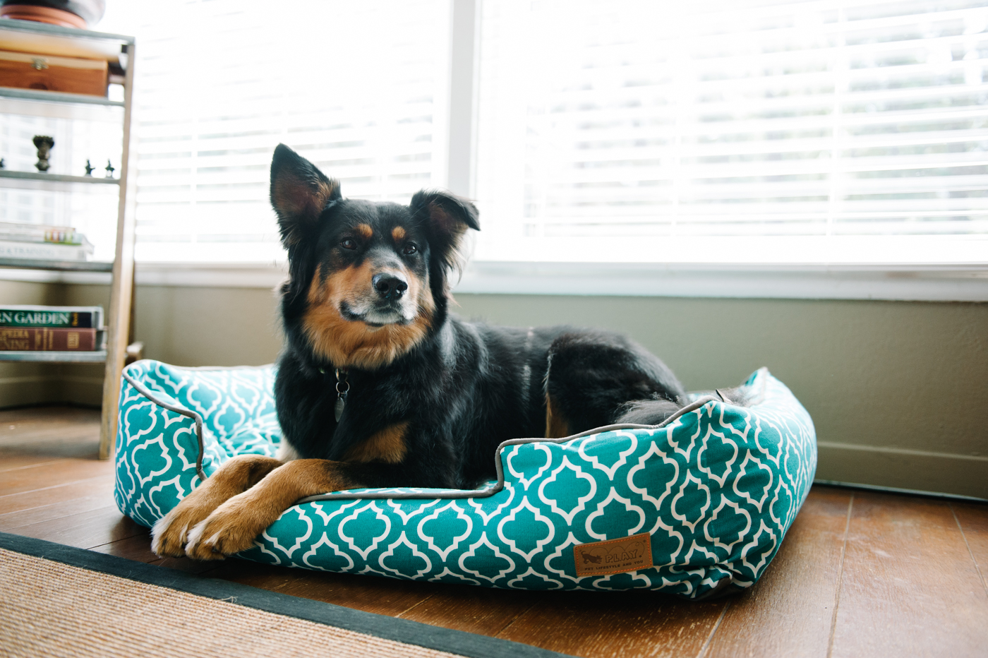 Teal Moroccan Lounge Bed - Image 4