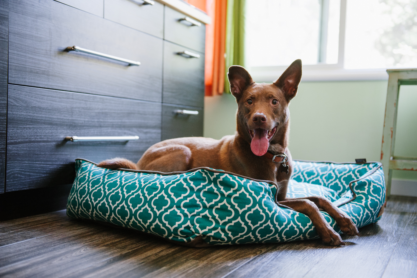 Teal Moroccan Lounge Bed - Image 3