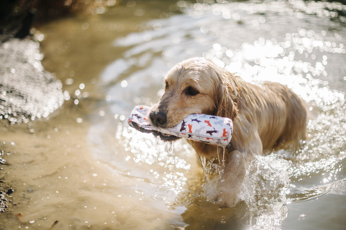 Scout & About Toss & Float - Vanilla - Image 2