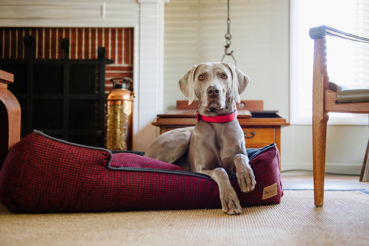 Cayenne Red Houndstooth Lounge Bed - Image 3