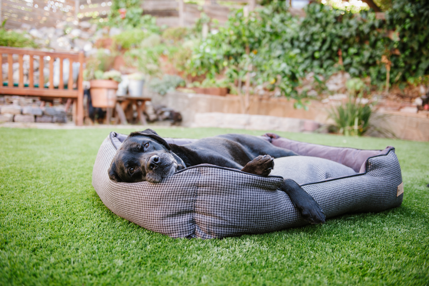 Shadow Grey Houndstooth Lounge Bed - Image 3