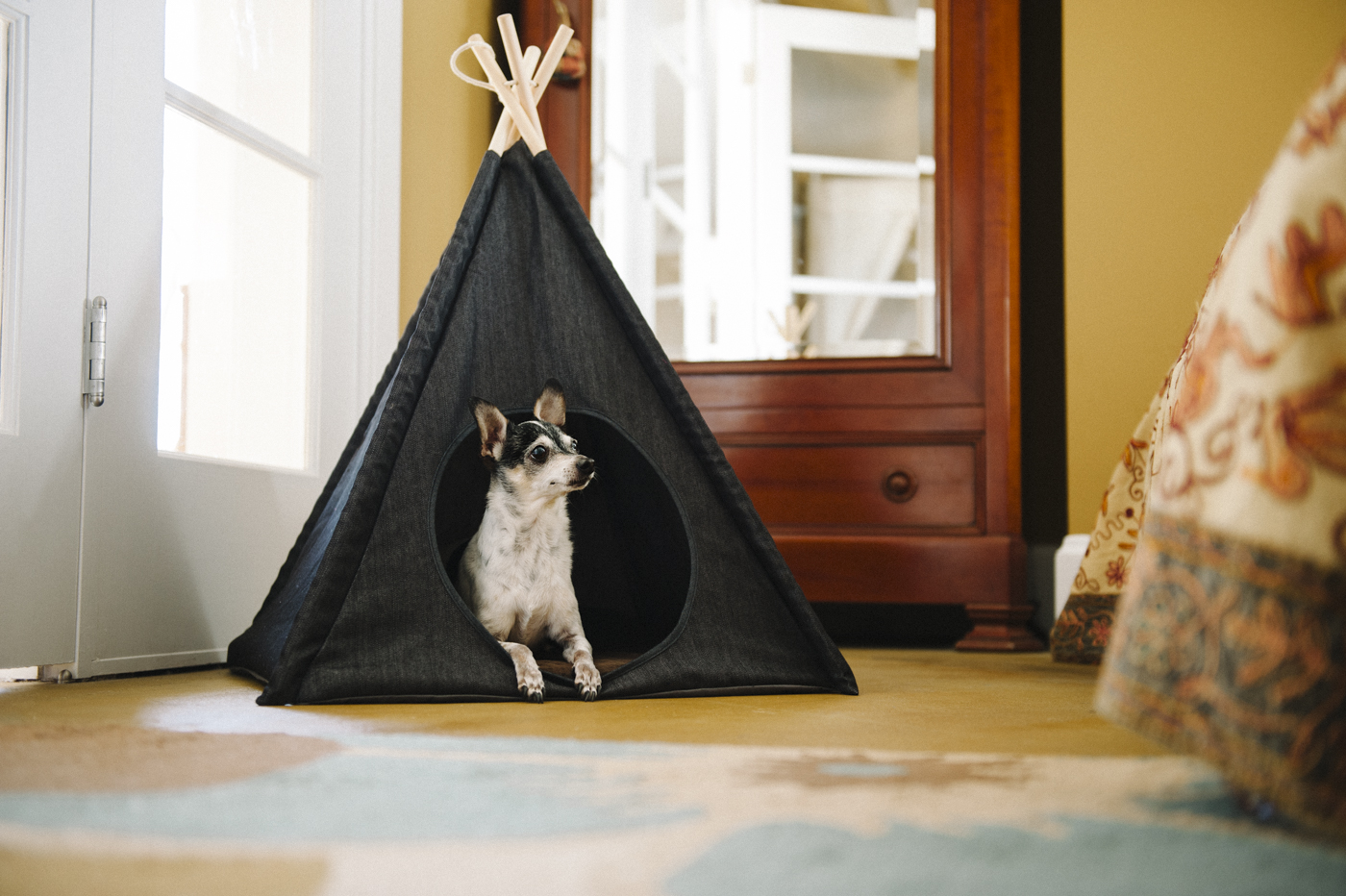 Urban Denim Pet Teepee - Image 6