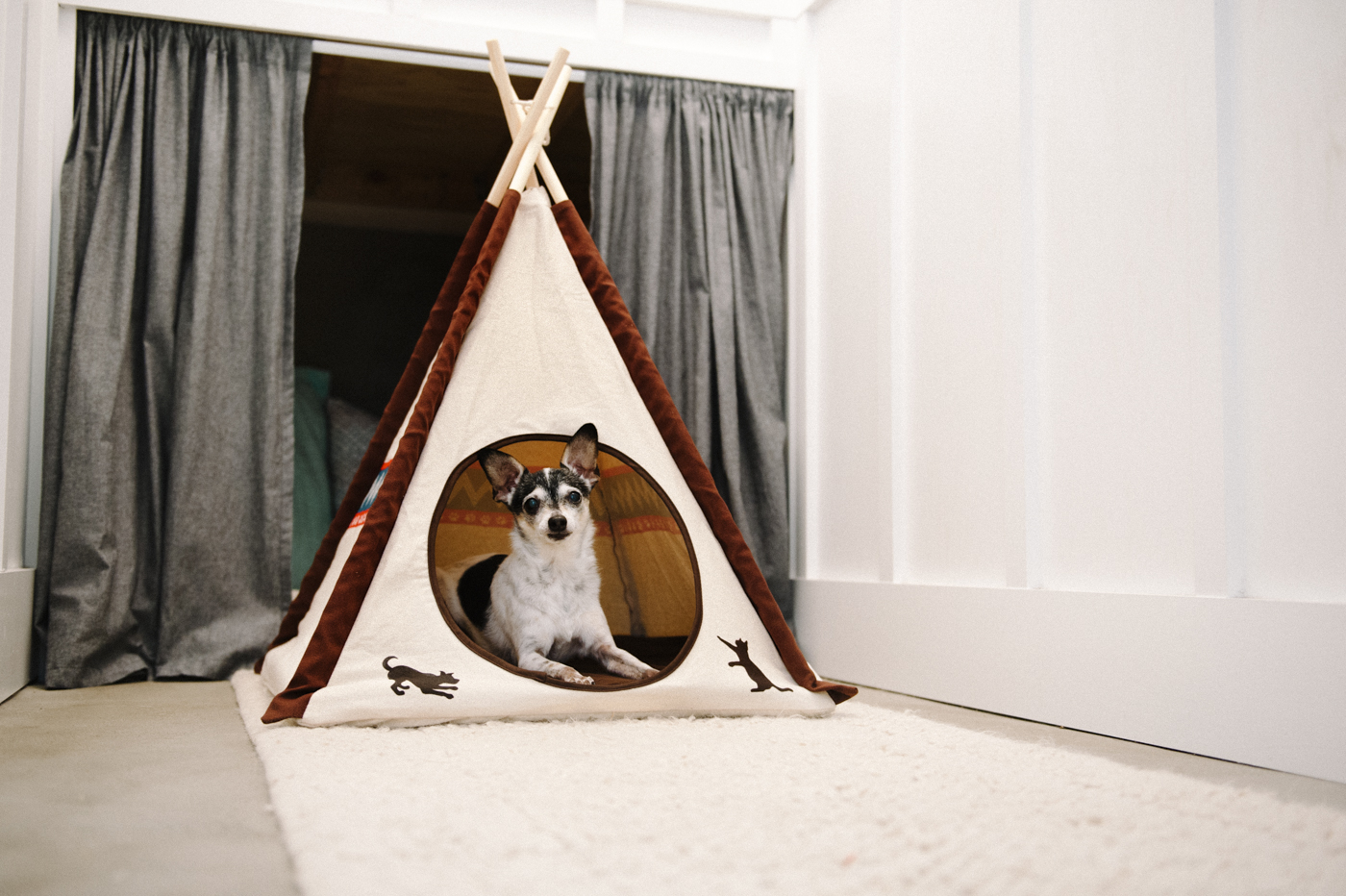 Pet Teepee Classic - Image 2