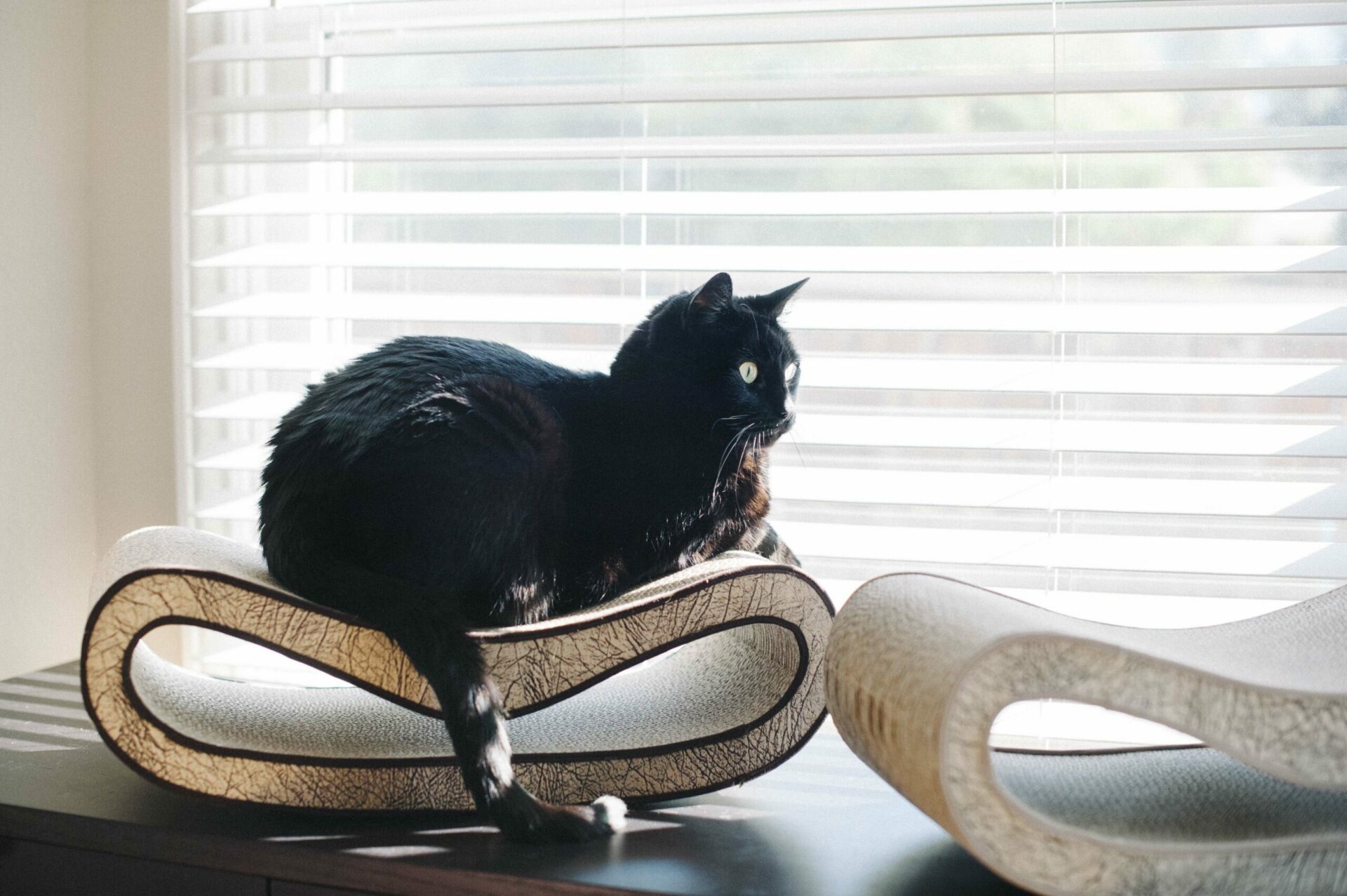 Espresso Savannah Leeloo Scratcher - Image 6