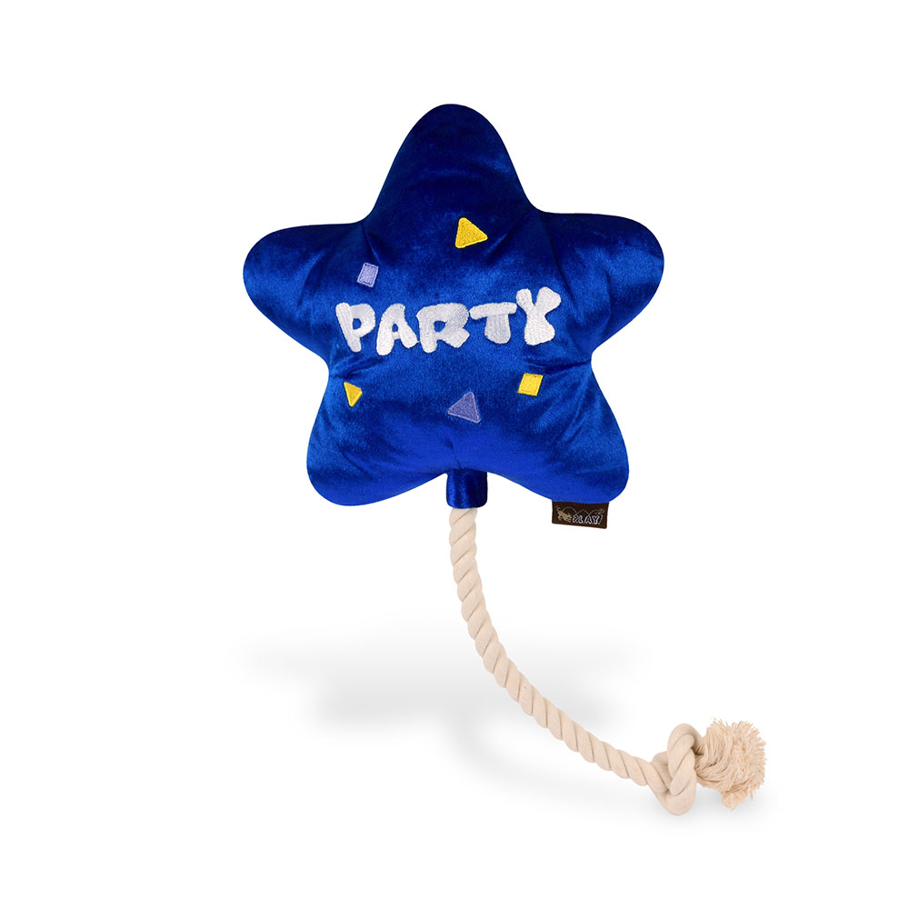 Party Time Best Day Ever Balloon