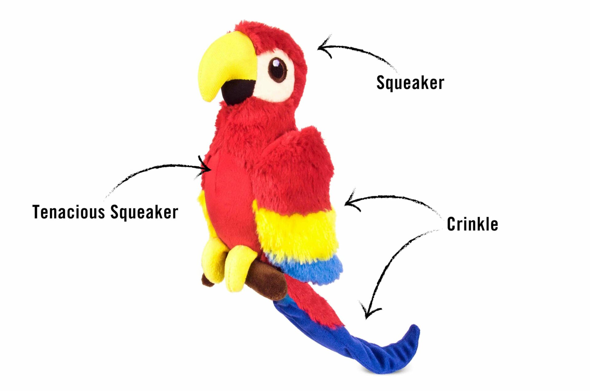 Fetching Flock Paula the Parrot - Image 2