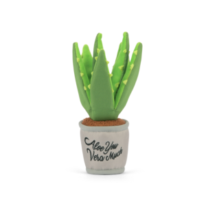 Blooming Buddies Aloe-ve You Plant