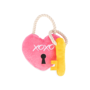Love Bug Lock & Key