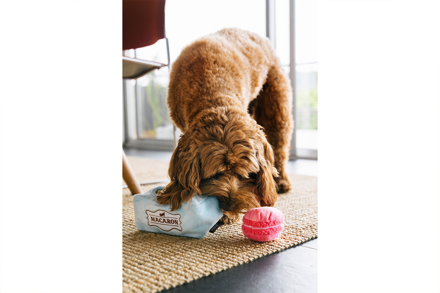 Pup Cup Café Mutt-a-rons - Image 4
