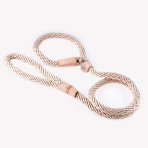 Sport Slip Dog Lead With Stopper - Beige