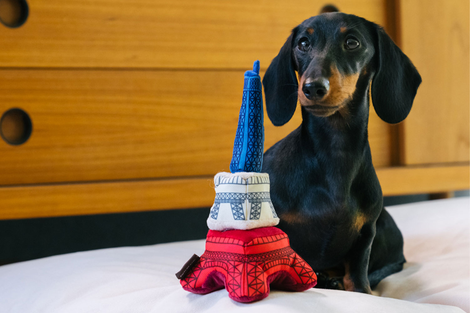 Totally Touristy Eiffel Tower - Image 4