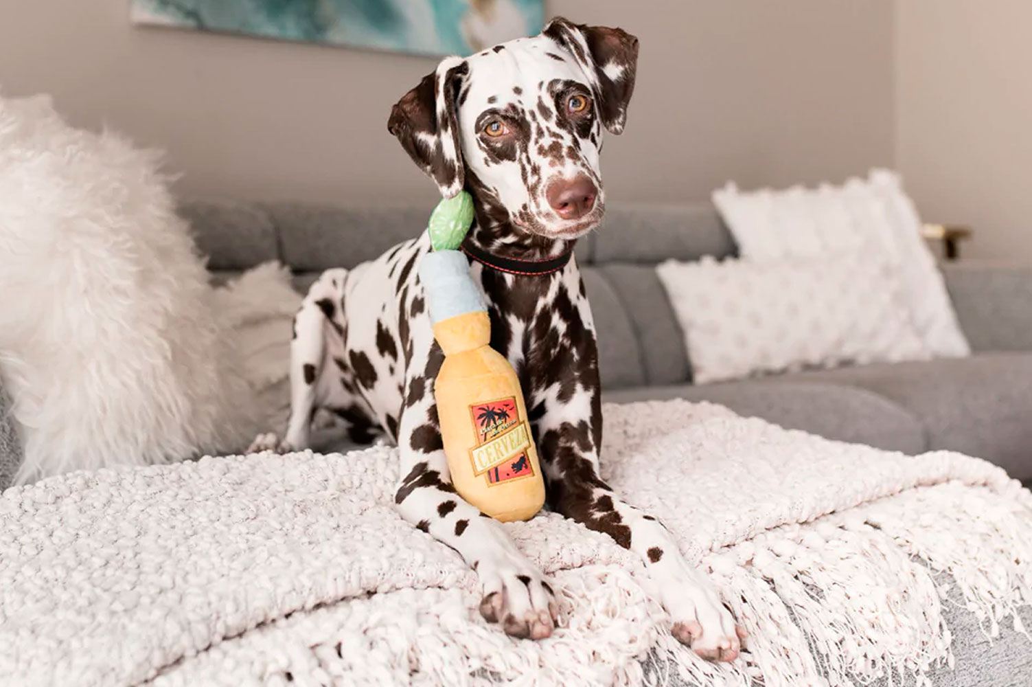 Tropical Paradise Canine Cerveza - Image 3