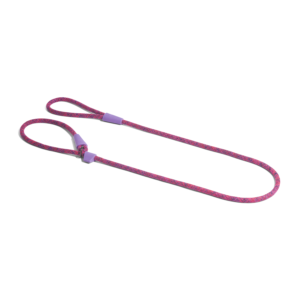 Slip On Dog Leash - Cosmo