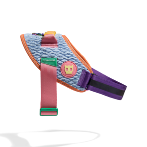 Zee.Dog Galaxy Flyharness