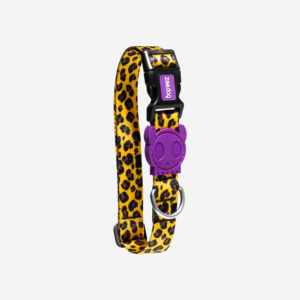 Honey Dog Collar