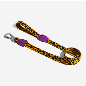 Honey Dog Leash