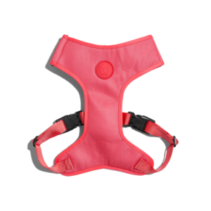 Neon Coral Adjustable Air Mesh Dog Harness
