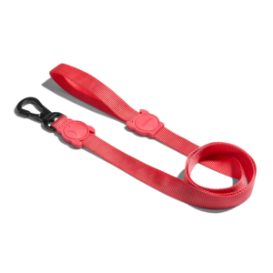 Neon Coral Dog Leash