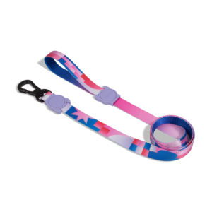 Noon Dog Leash