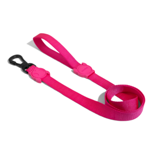 Pink Led Dog Leash