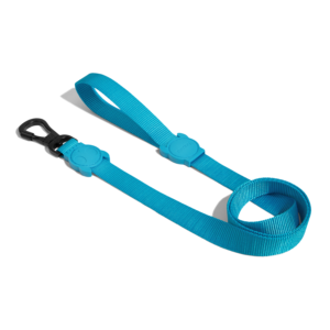 Ultimate Blue Leash