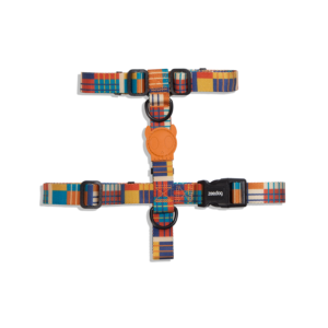 Wes Dog H Harness