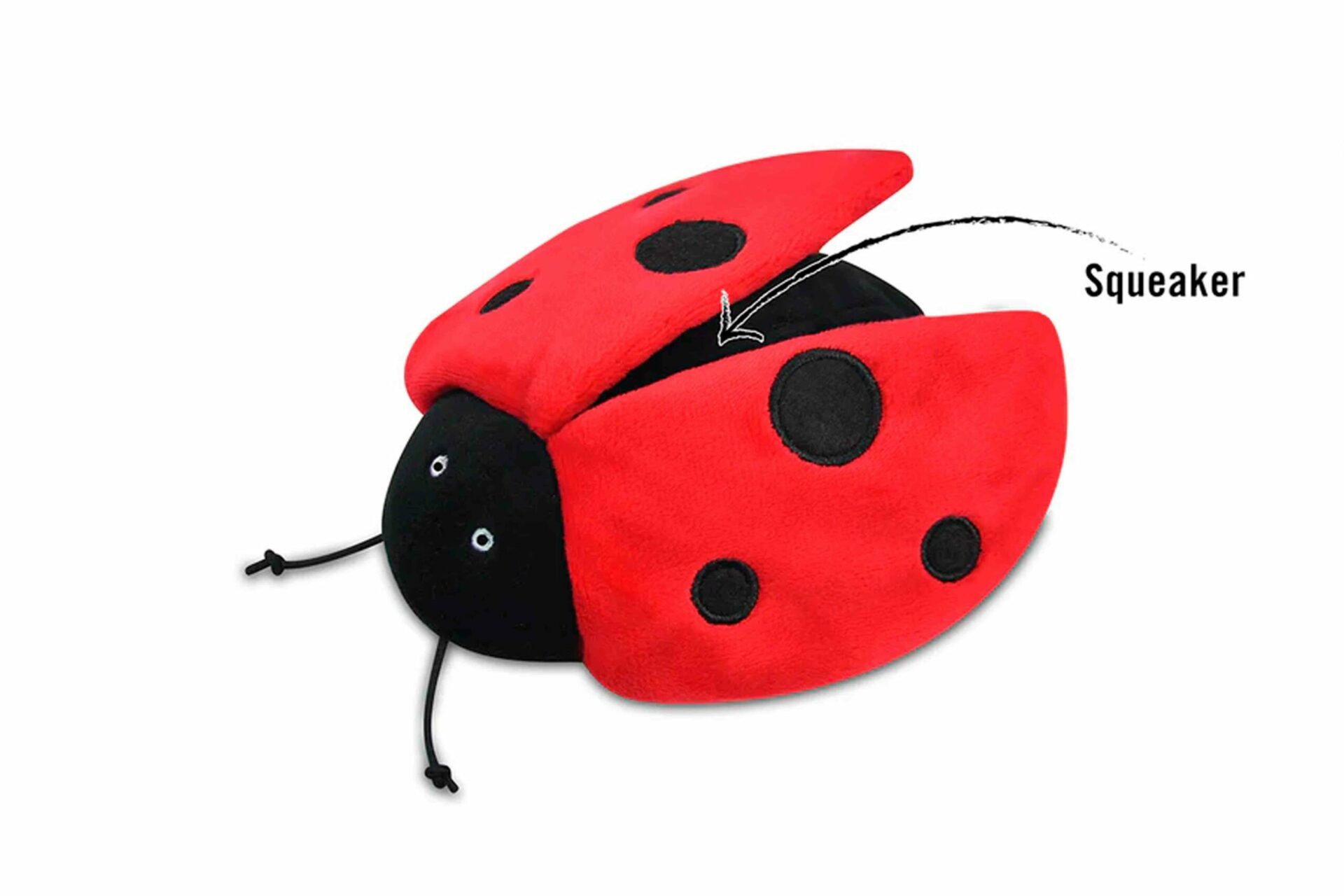 Bugging Out Lola the Ladybug - Image 2