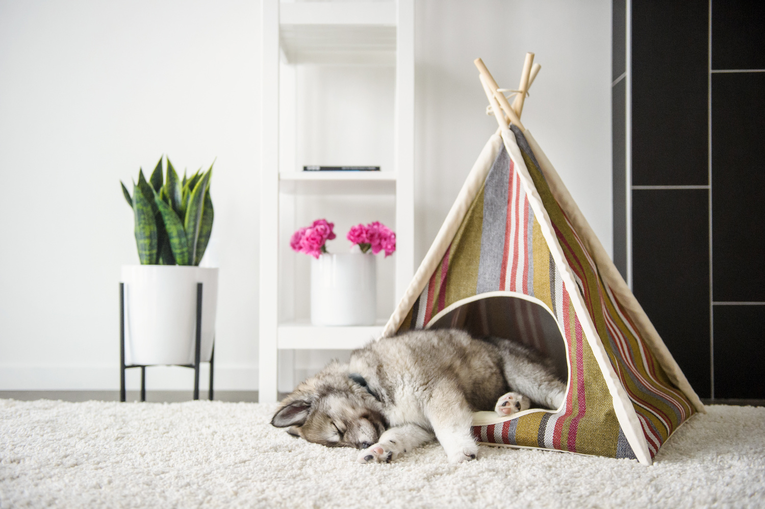 Woodland Horizon Pet Teepee - Image 5