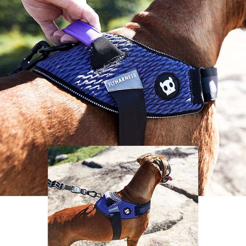 Wicked FlyHarness - Image 2