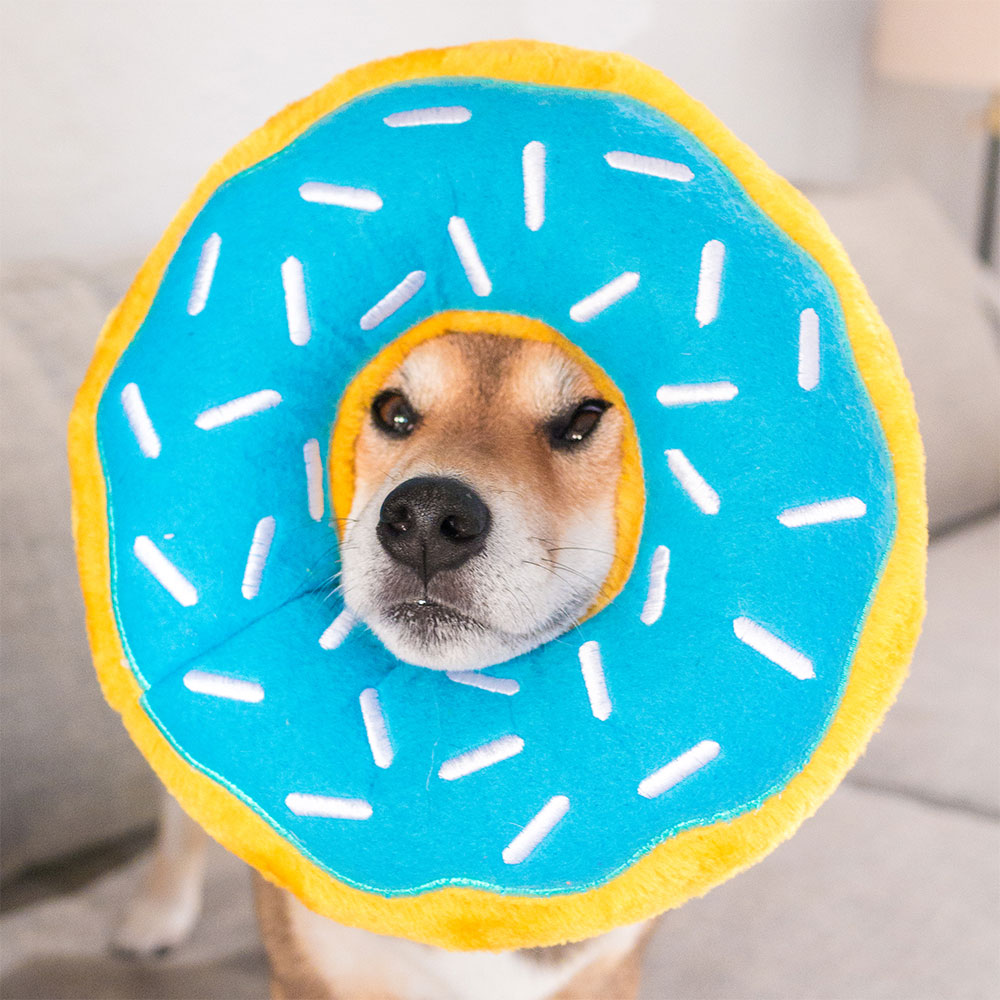 Jumbo Donutz - Blueberry - Image 2