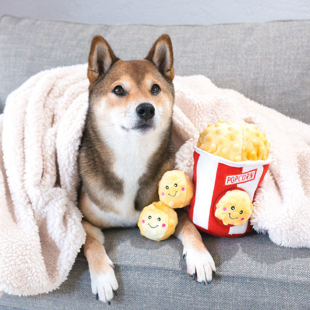 Zippy Burrow - Popcorn Bucket - Image 2