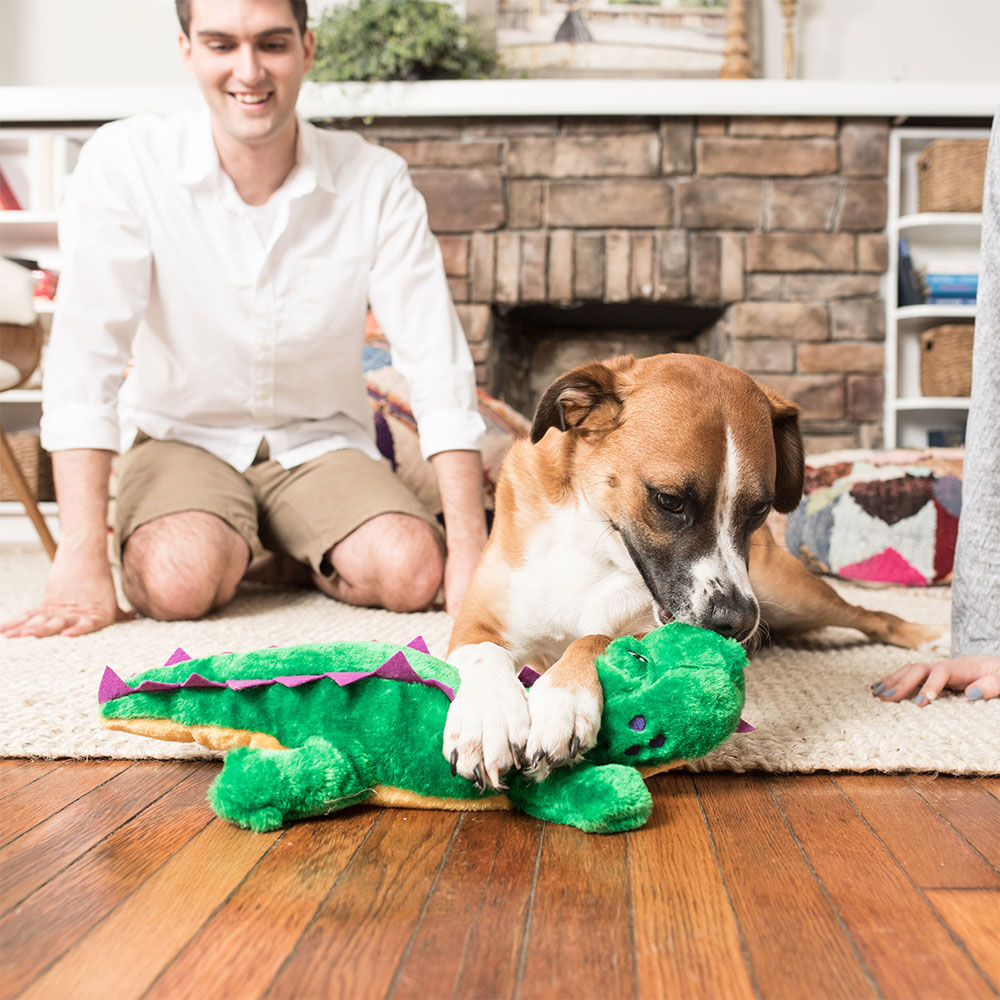 Grunterz - Alvin the Alligator - Image 3