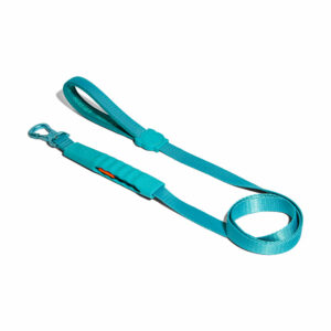Blue Airleash