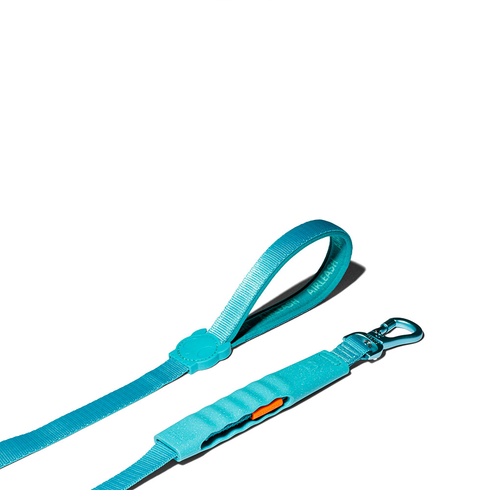 Blue Airleash - Image 2