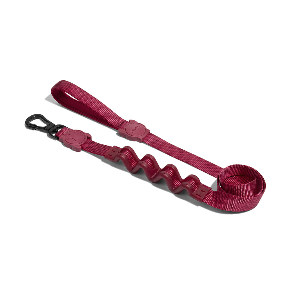 Bordeau Dog Ruff Leash