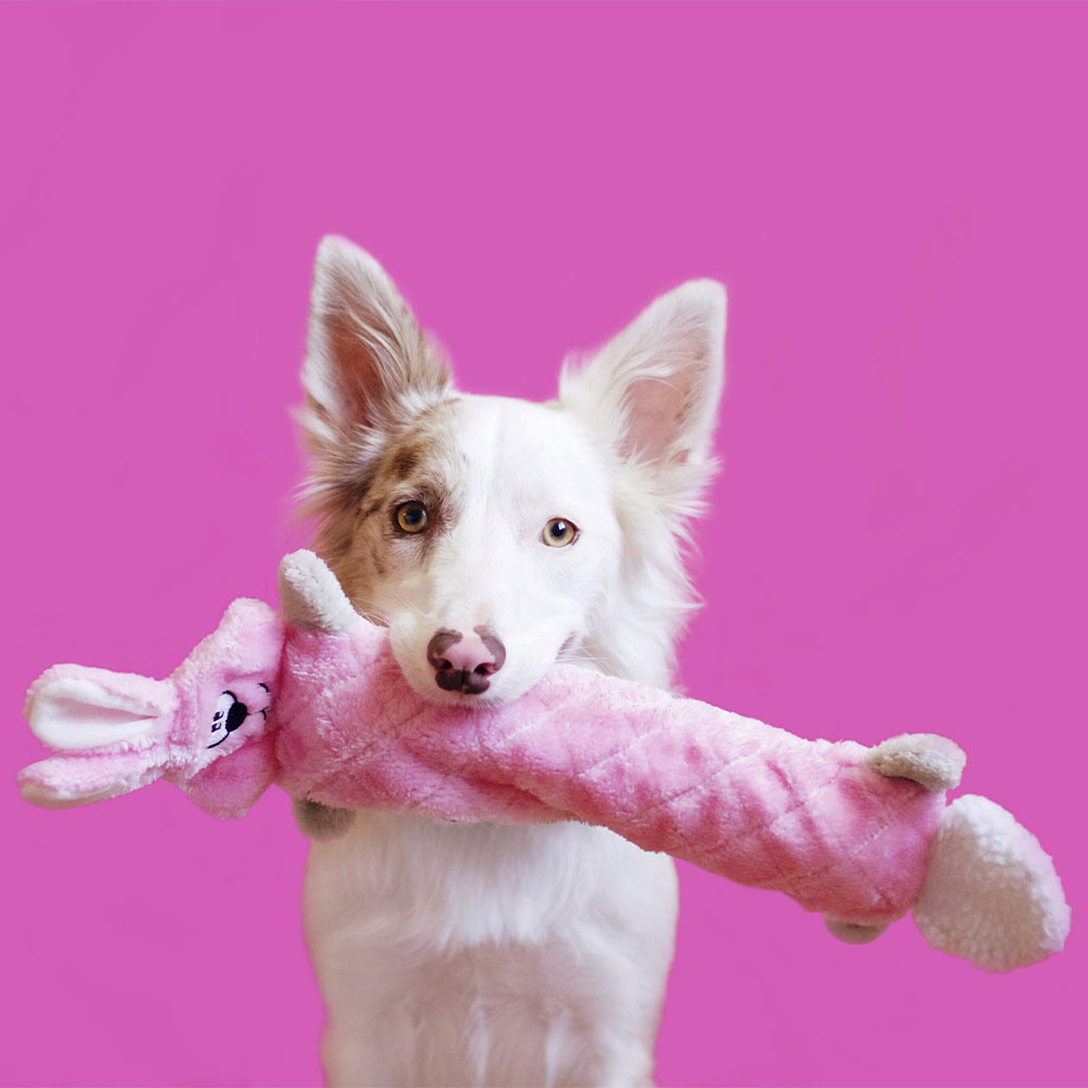 Jigglerz® - Bunny - Image 3