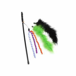 Feathers Cat Teaser