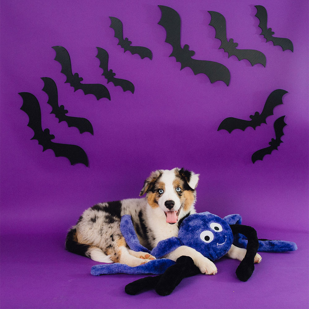 Halloween Grunterz - Purple Spider - Image 2