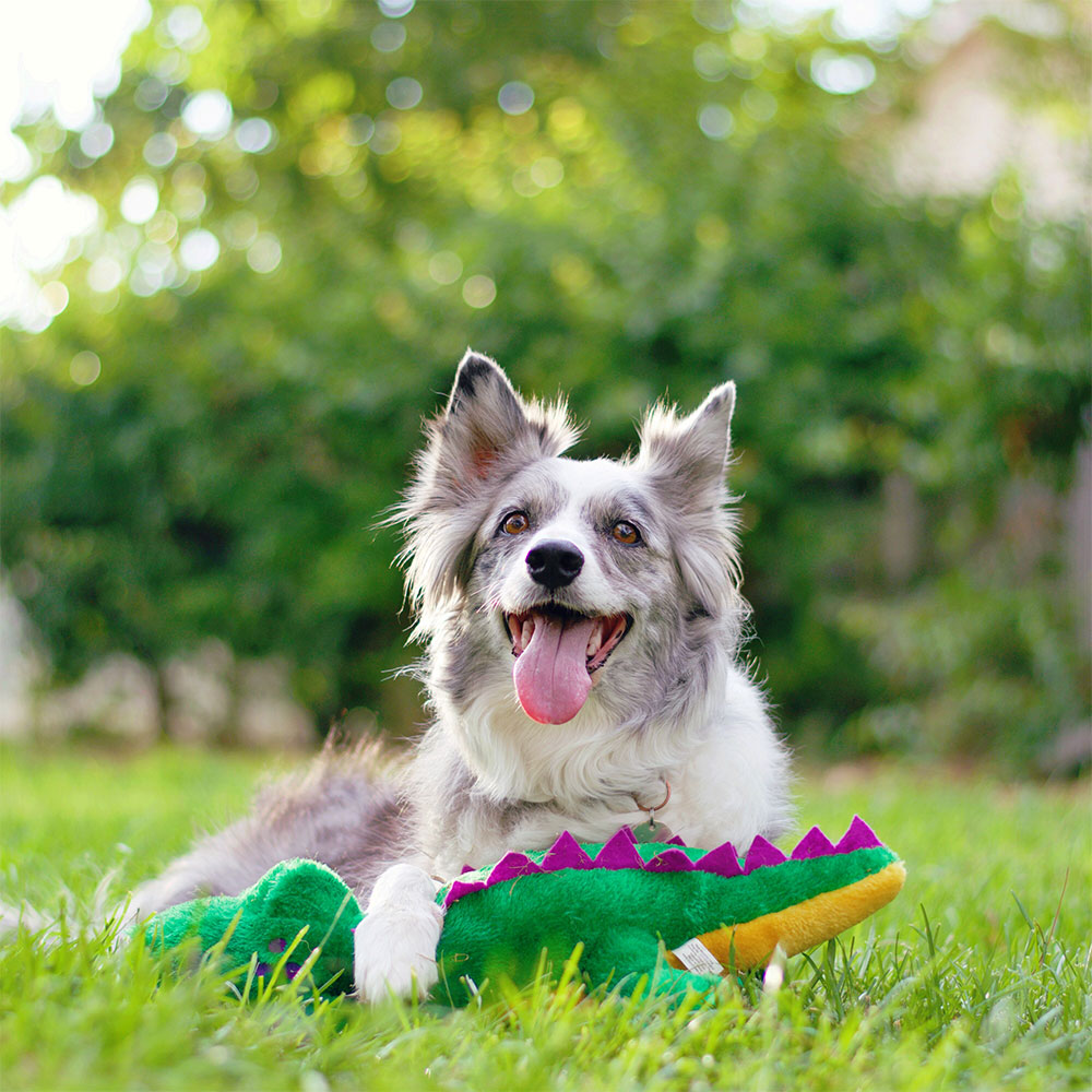 Grunterz - Alvin the Alligator - Image 4