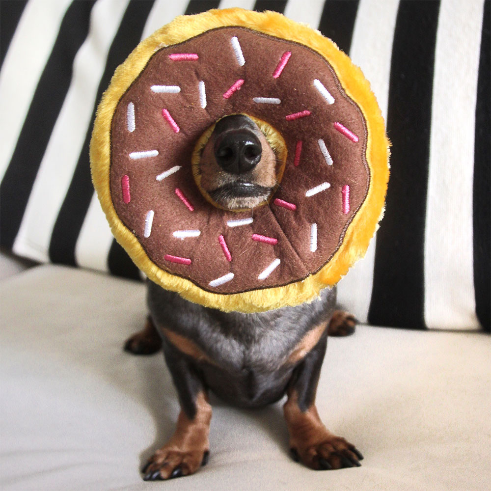 Donutz - Chocolate - Image 5