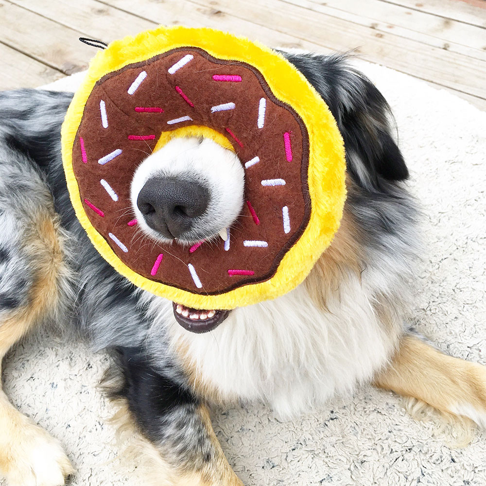 Donutz - Chocolate - Image 3